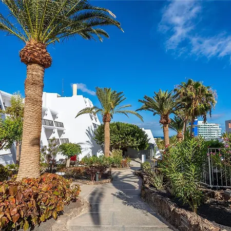 فندق Sol Fuerteventura Jandia - مورو ذيل خابلِ